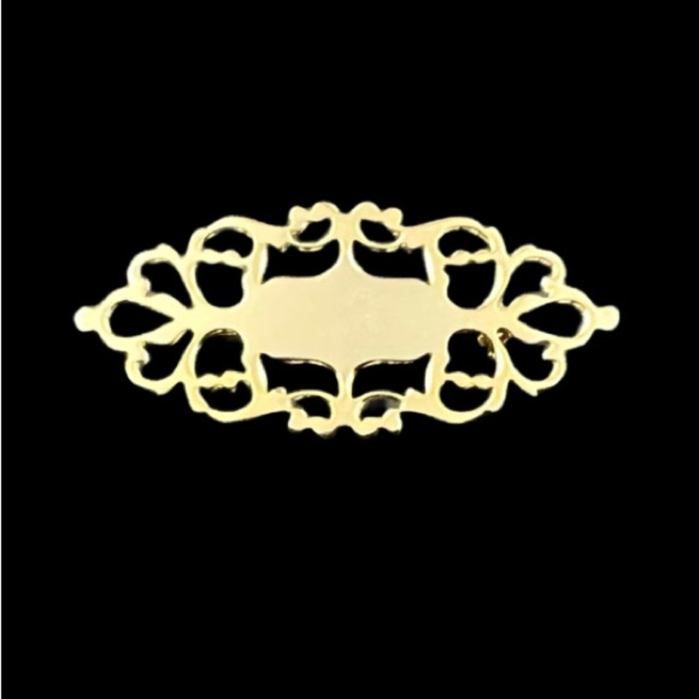 18K Gold on Solid Brass Brooch Historic Charleston Foundation